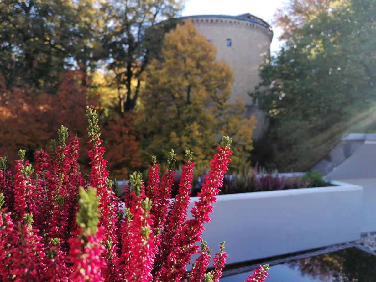 Apartment Serenade Am Zwinger Goslar Zewnętrze zdjęcie