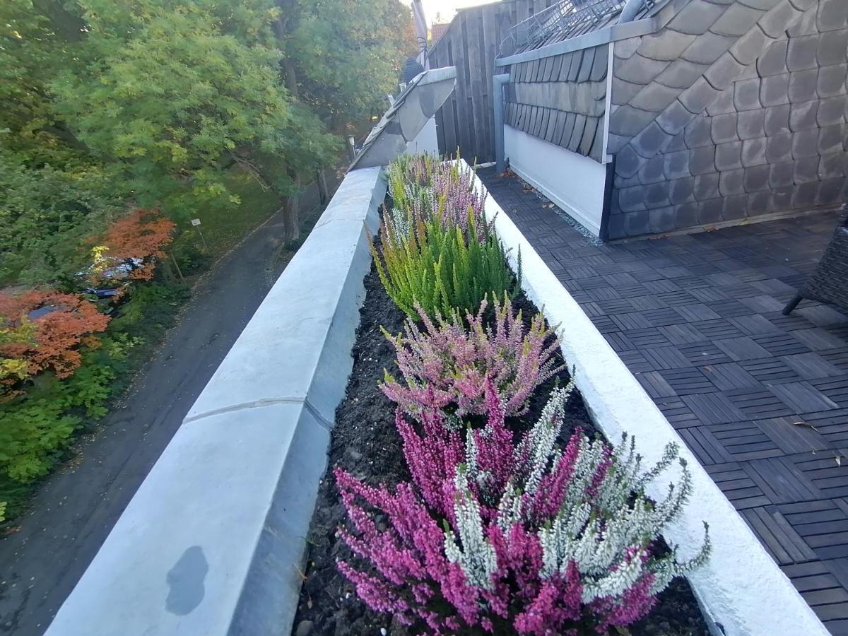 Apartment Serenade Am Zwinger Goslar Zewnętrze zdjęcie